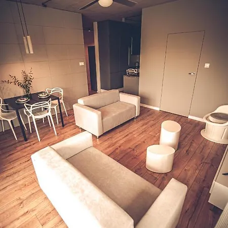 The Loft - Wislana 28 Apartment Piotrkow Trybunalski Exterior photo