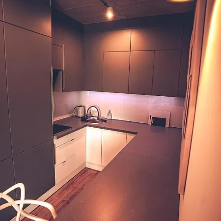 The Loft - Wislana 28 Apartment Piotrkow Trybunalski Exterior photo